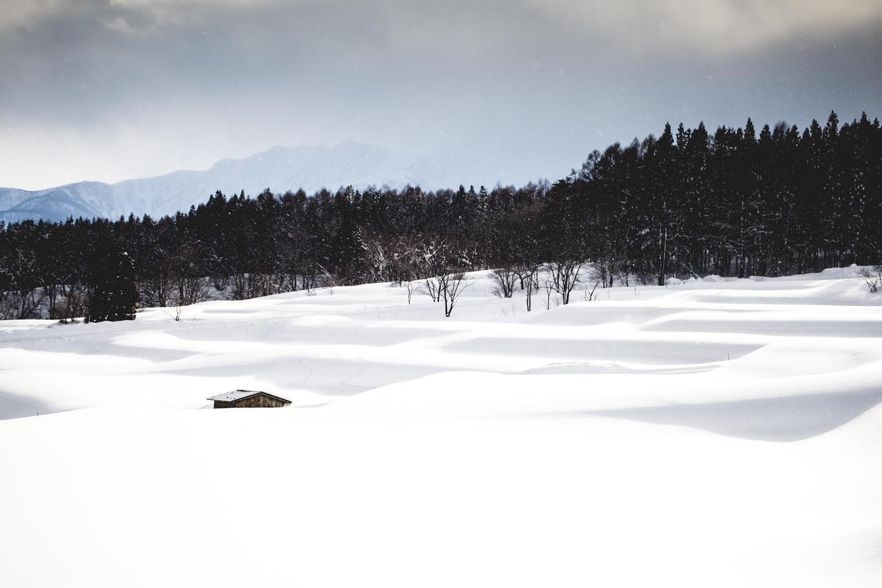 Hakuba Cortina Lodge Otari Екстериор снимка