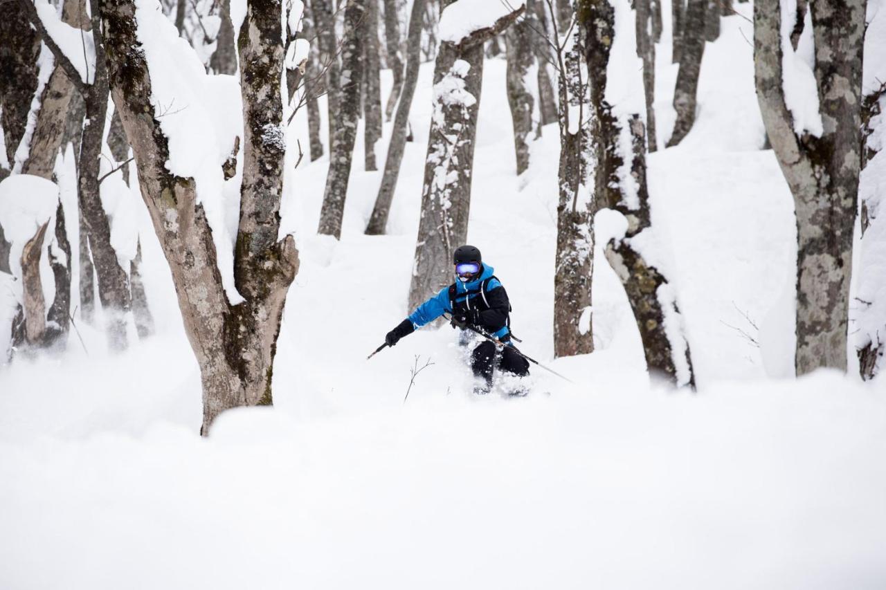 Hakuba Cortina Lodge Otari Екстериор снимка